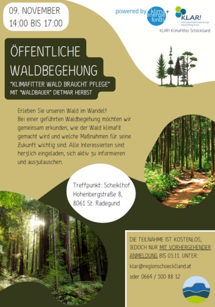 waldbegehung klar